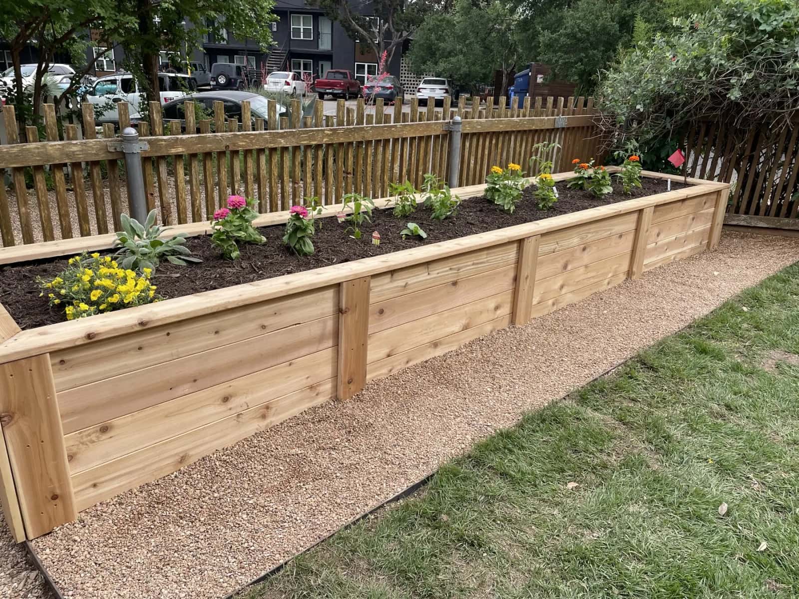 Austin landscape design with stone border and layered planting