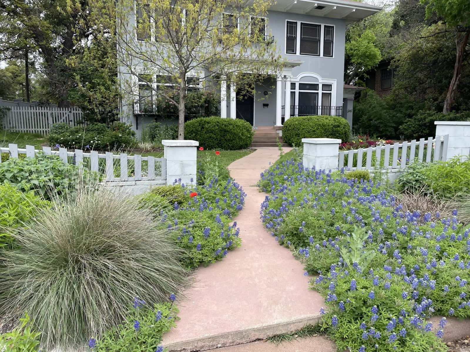 Austin landscape consultation with Cynthia Bond