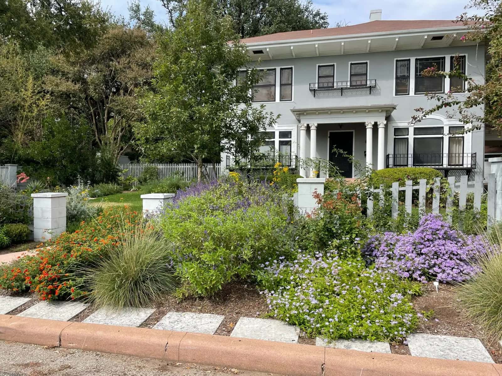 Naturalistic Austin wildlife garden with native planting
