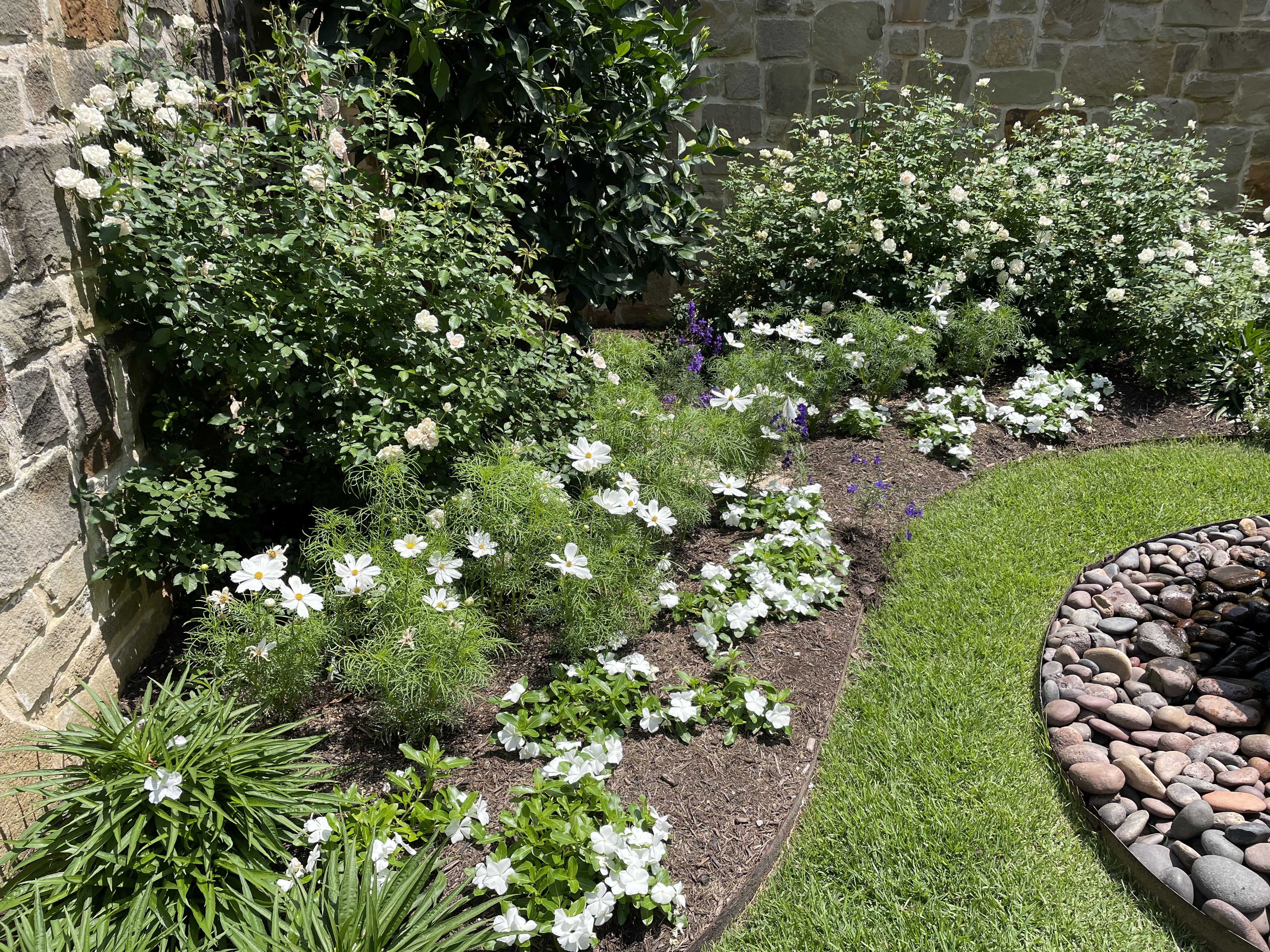 Landscape design project by Cynthia Bond